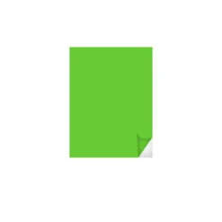 Film Adhésif 3M SC50 Longue Durée Série 50 Vert Clair SC50-72 100x61cm